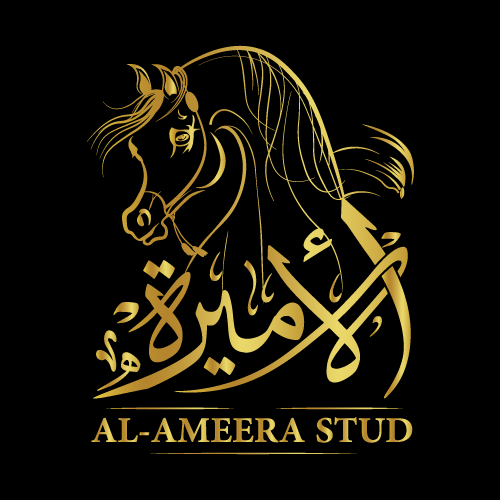 AMEERA GR