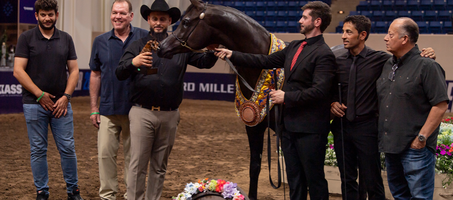 National Horse Show 2025 | History, Highlights, and What to Expect