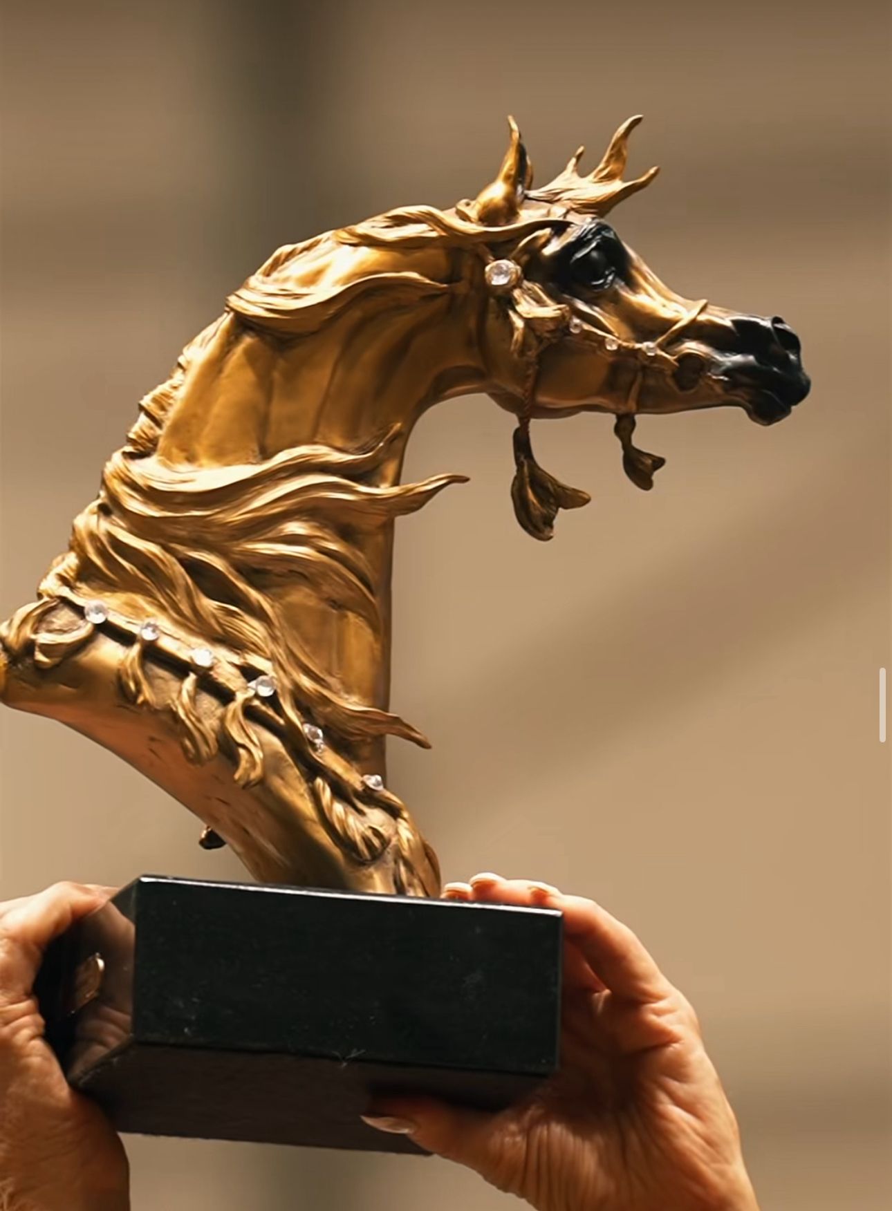 The Timeless Majesty of Arabian Horses – A Legacy Thriving in the USA