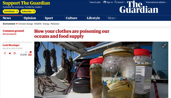 link-guardian.jpg