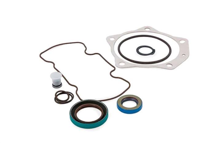330009-1X or 3300091X Chelsea Gasket & Seal Service Kit - 210