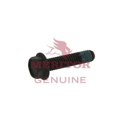Meritor Screw Special P/N: 10X1650