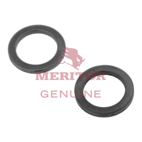 1229W1661 Meritor 100 Pack Washer