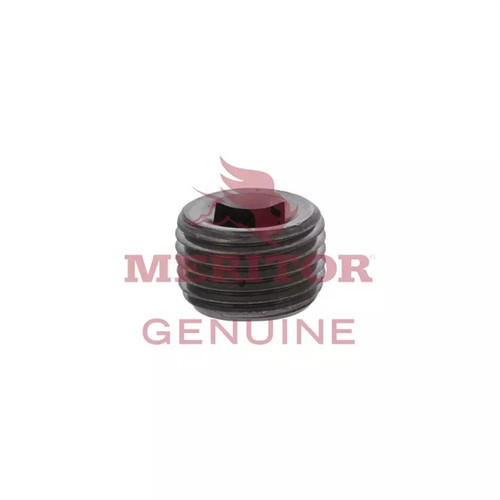 Meritor Filler Plug P/N: P28