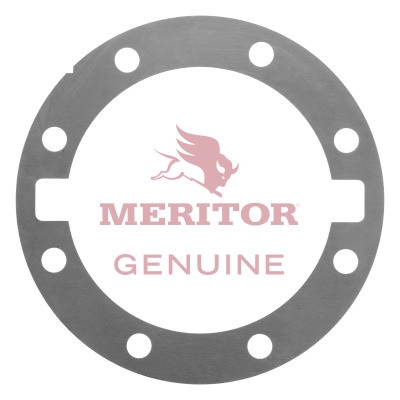 Meritor Shim -.010 P/N: 2203D8870