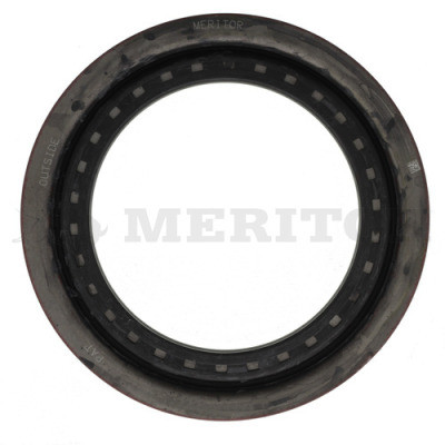 AxleTech Oil Seal /N: A1205K401