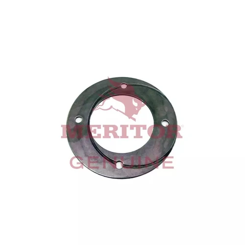AxleTech Washer P/N: 1229V412