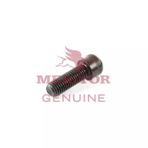Meritor Screw P/N: 100001017E