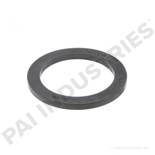 4302243 Fuller Thrust Washer 900307