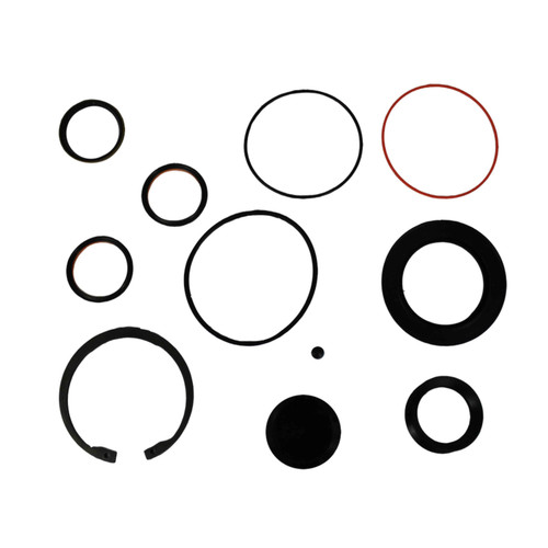2592-443-C International Steering Gear Sector Shaft Seal Kit