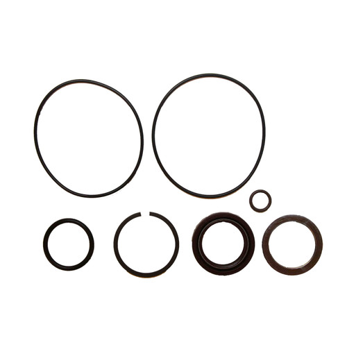 1669456C International Power Steering Pump Seal Kit