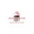 Axletech Meritor Camshaft Bushing P/N: 122501032E