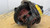 QHR or QHRR433 Meritor Rear Differential Carrier - 4.33 Ratio