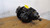 SQHDR444 Meritor SQHD Front Differential Carrier - 4.44 Ratio