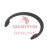 Meritor Ring-Snap P/N: 1229V2570