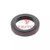 2214V1166 Meritor Adj Ring