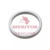 Meritor Shim .300 P/N: 2203T7820