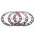 AxleTech Shim-.010 P/N: 2203J452