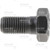 Dana Spicer O-Ring Gear Bolt P/N: 2003431
