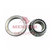 AxleTech Tapered Bearing Assembly P/N: A75650599