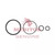 AxleTech Cylinder Seal Kit P/N: E75750425