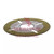 AxleTech Friction Disc /N: 328101016E