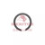 AxleTech Snap Ring P/N: 1854V178