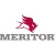 Meritor Ecu P/N: S4008673200C