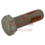 Meritor Capscrew P/N: MS220060AM2