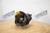 343-0015-014 Fabco Differential