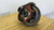G175TR557 Eaton - Spicer Rear Differential G175T 5.57 ratio