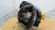 Reman Eaton Front Differential P/N: DS404 463 ratio or DS404R463