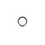 Dana Spicer Snap Ring P/N: 246006