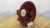 Eaton Fuller Clark SAE #2 Clutch Housing 235647-R or 235647R FS & CL Series Transmissions