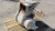 804615 FWD Transfer case and 804936. INC
