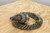 ROCKWELL - MERITOR A37588-10 or A3758810 GEAR SET QHR 370 RATIO - photo 3