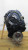 TC1138 ROCKWELL T1138 TRANSFER CASE. Inc