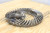 98104 Spicer Gear set 5.43 RATIO Eaton Ring & Pinion