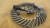 98105 Eaton Ring & Pinion Spicer Gear set used 6.17 RATIO