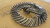 98105 Eaton Ring & Pinion Spicer Gear set used 6.17 RATIO