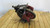 Remanufactured Meritor Rockwell F106 differential carrier, 6.80 ratio
