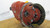Remanufactured Meritor Rockwell SSHD front differential carrier, 6.14 ratio