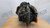 DS4616PR543 Eaton - Spicer Front Differential DS4616P 5.43 ratio