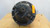 RS461R543 Eaton - Spicer Rear Differential RS461 5.43 ratio - photo 2