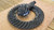 B41268-1 Meritor Service Gear Set - photo 5