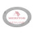 Meritor Thrust-Washer P/N: 1229W2857