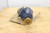 CS41-A1007-H3CX Muncie CS41 Series Clutch-Shift PTO - photo 4