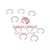 Meritor Snap Ring Kit P/N: KIT530