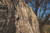 Doghouse® Extreme