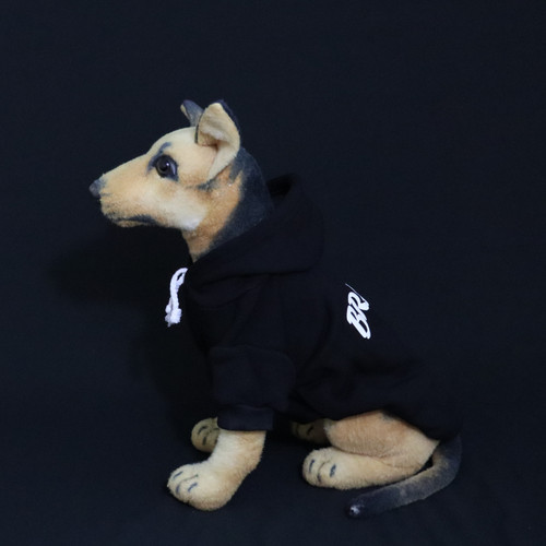 Braap! Hoodie Braap! Hoodie